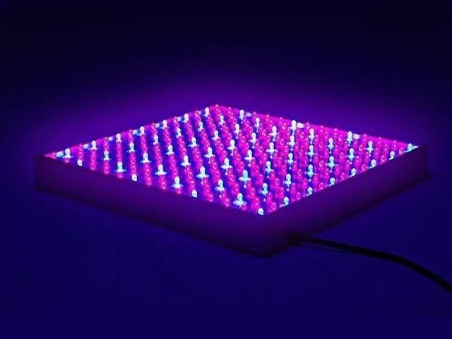 放棄Micro LED市場？不！中國屏企發(fā)展正當時