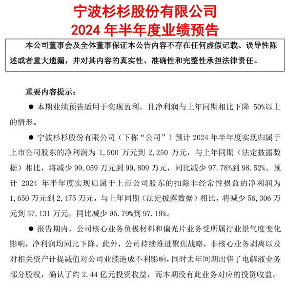 杉杉股份2024年半年度業(yè)績預(yù)告：盈利大幅下滑，業(yè)務(wù)調(diào)整中尋求突破